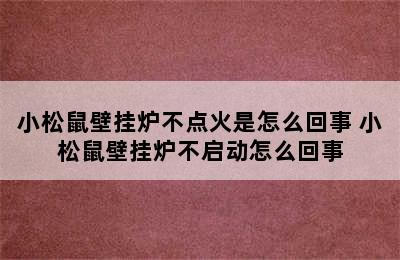 小松鼠壁挂炉不点火是怎么回事 小松鼠壁挂炉不启动怎么回事